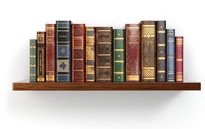 bookshelf Cropped.jpg