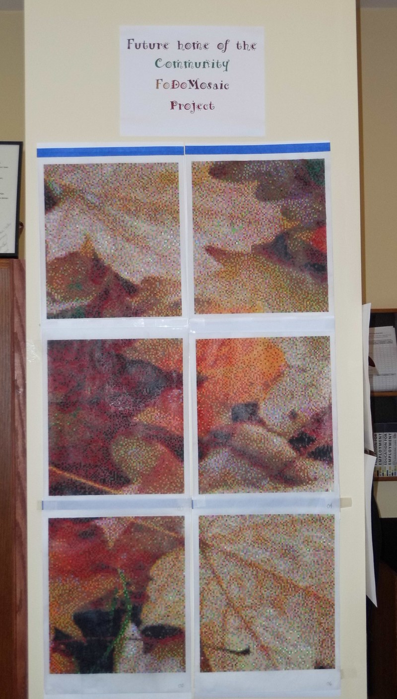 Fodomo progress 6 panels.JPG