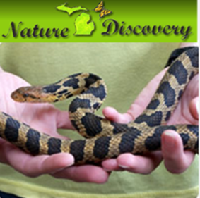 Nature Discovery Image of a man holding a snake