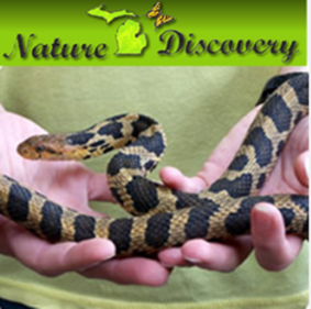 naturediscoverysnakes.png