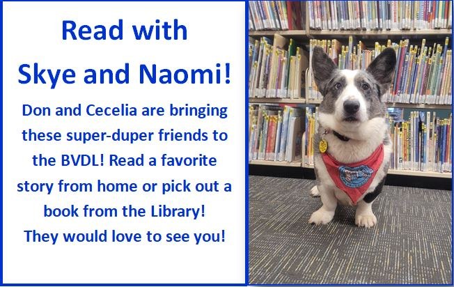 Therapy dog Skye, a Welsh Corgi, standing in front of shelves of books, program flyer.